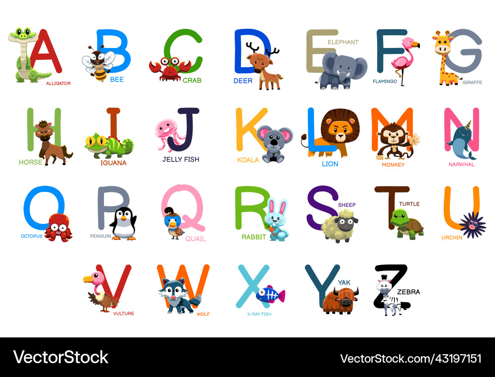 Cute animals alphabet for kids education Vector Image