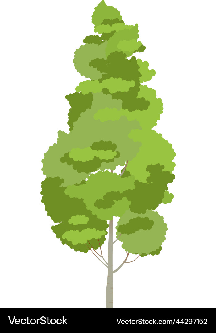 Aspen icon green foliage tree nature symbol vector image