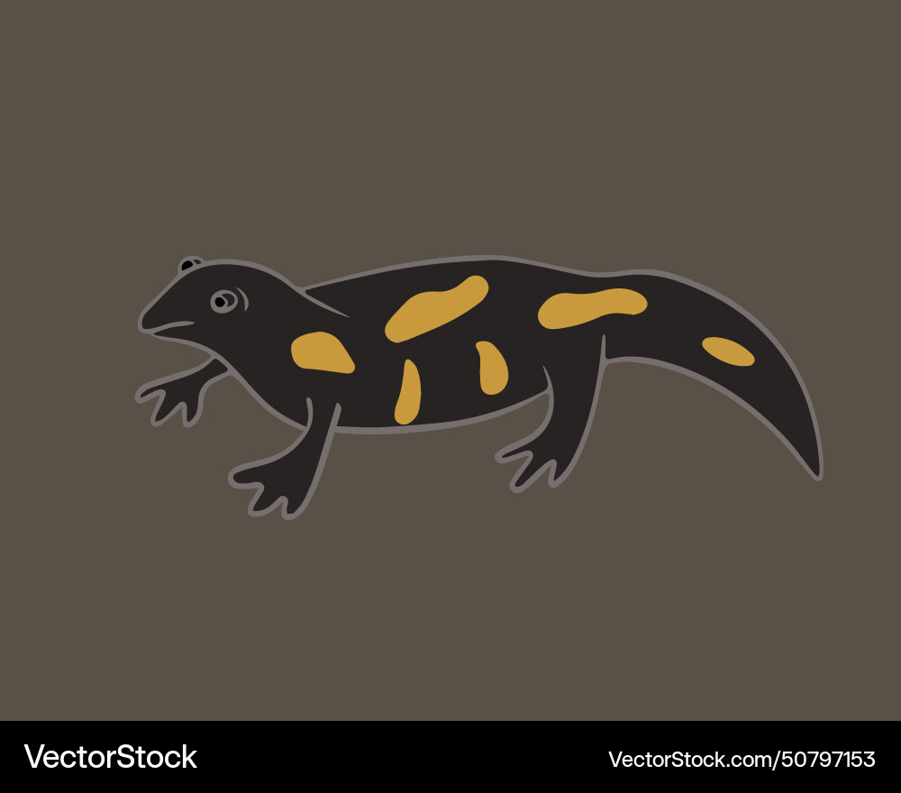 A salamander stylized drawing Royalty Free Vector Image