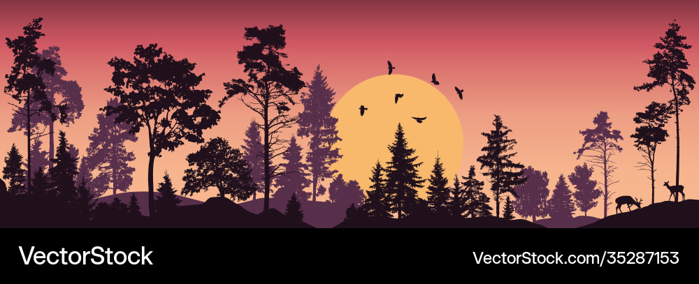 Forest trees sunset Royalty Free Vector Image - VectorStock