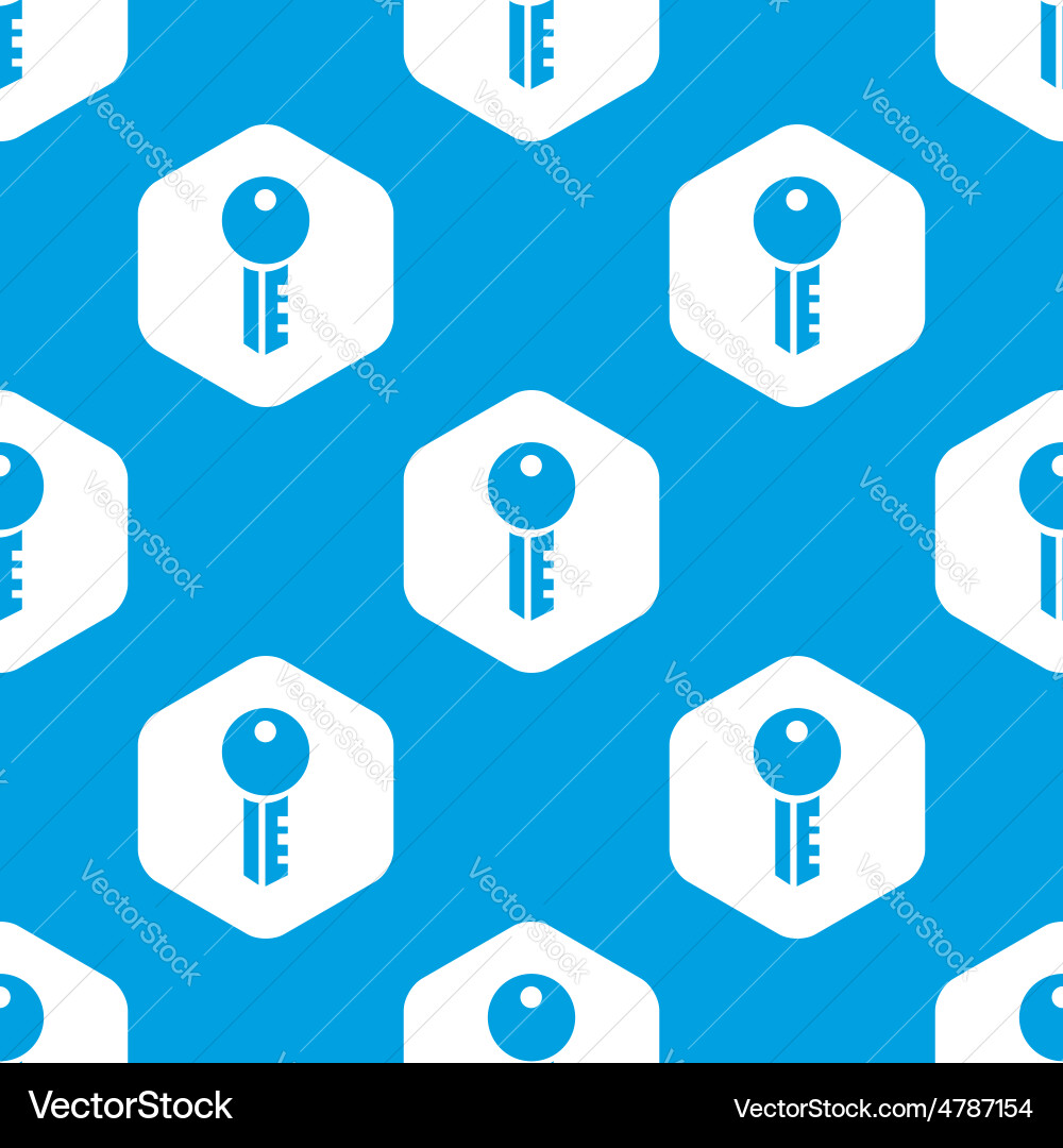 Key hexagon pattern vector image