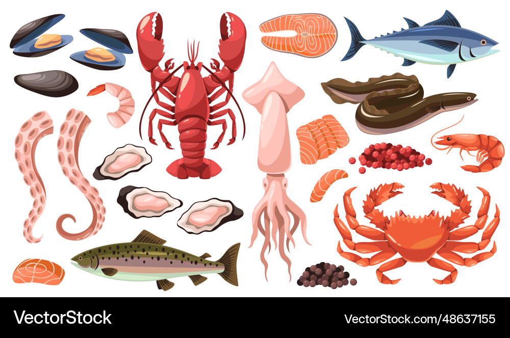 Cartoon raw sea food products marine vector image