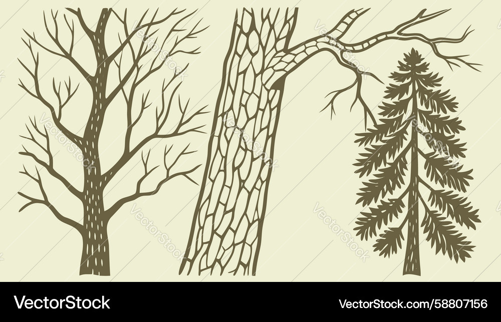 Rustic tree trunks and forest elements design Vector Image
