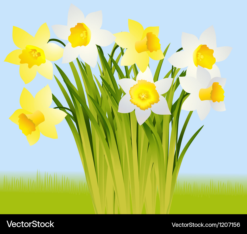 Spring flowers Royalty Free Vector Image - VectorStock