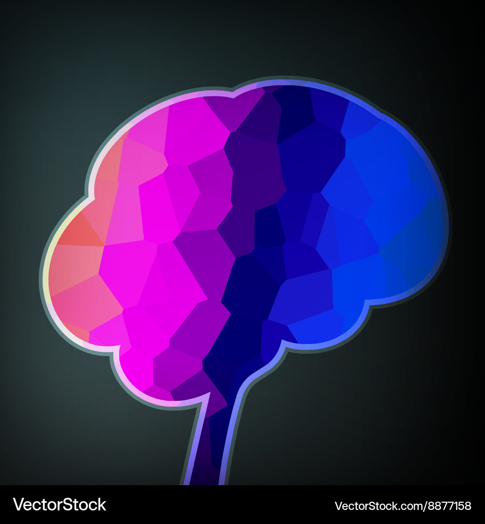 Colorful structure in the form of brain Vector Image