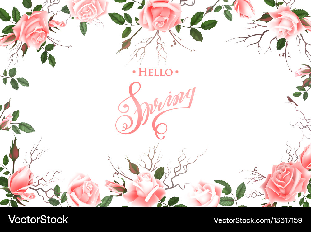 Hello spring background with roses hand drawn vector image