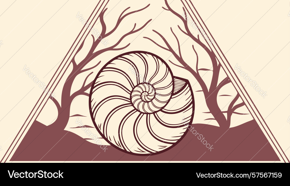 Nautilus shell in abstract pyramid design vector image