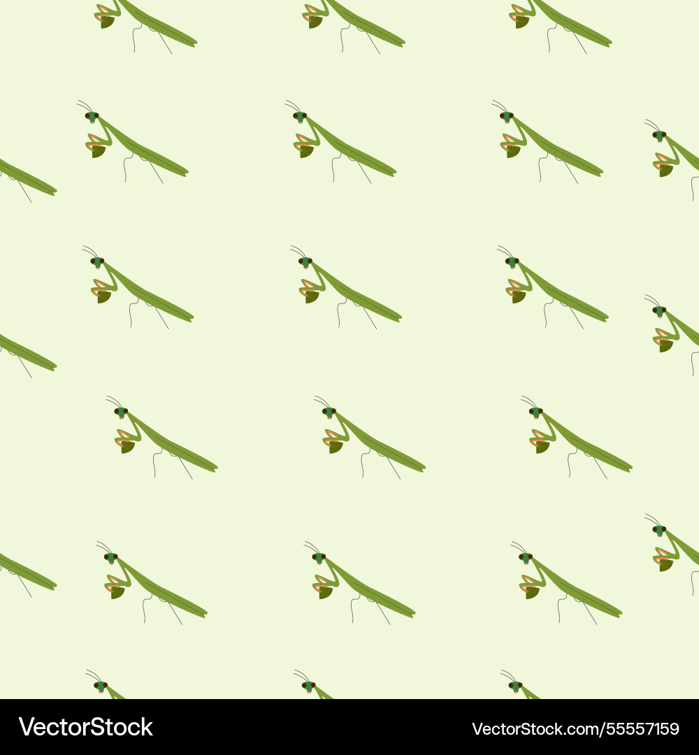 Seamless pattern with praying mantis Vector Image