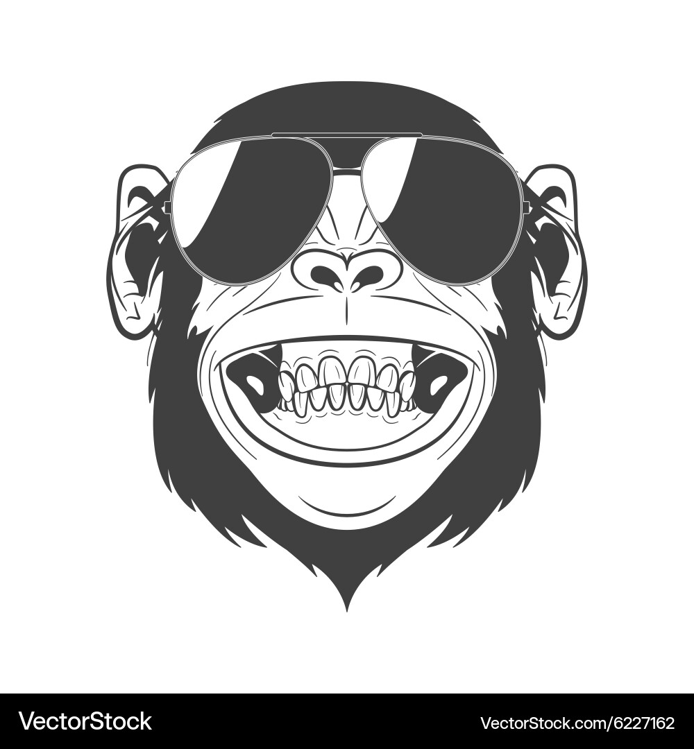 Monkey with sunglasses Royalty Free Vector Image