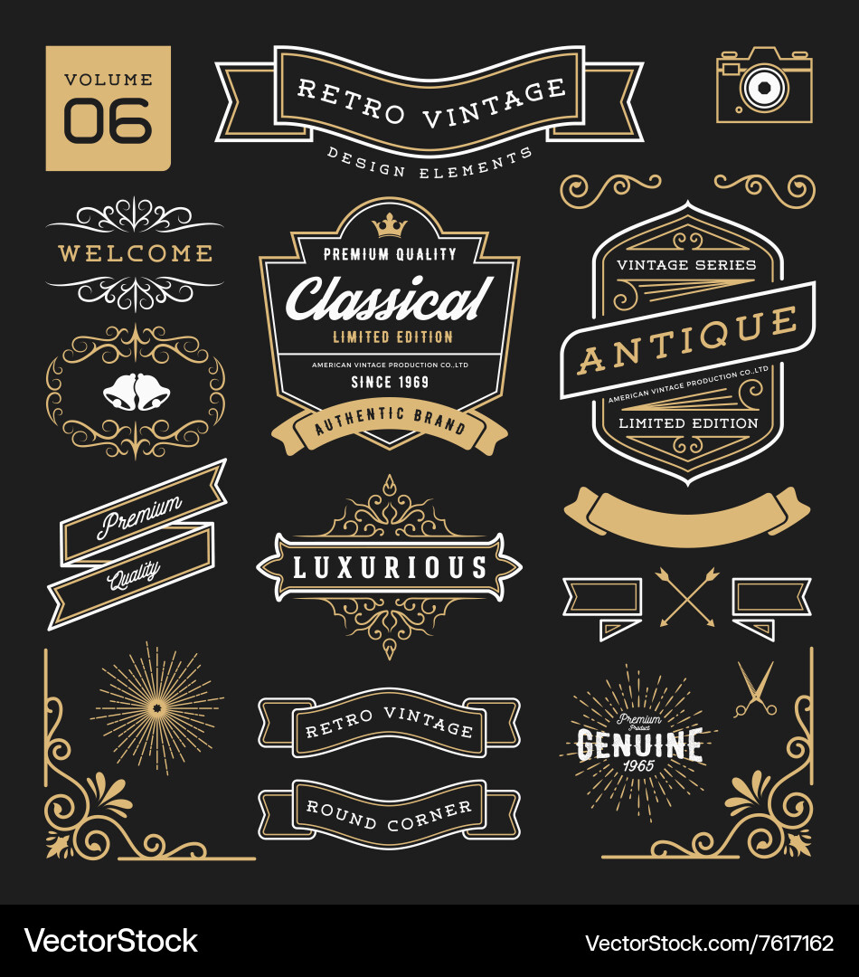 Vintage Retro Elements Collection vector image