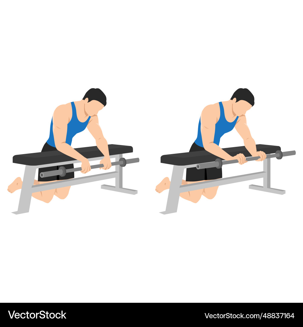 Man doing barbell reverse wrist curl on a bench Vector Image