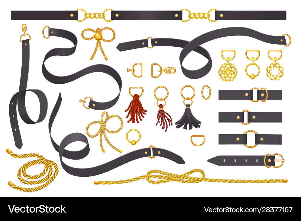 Jewelry elements for fabric design vector image