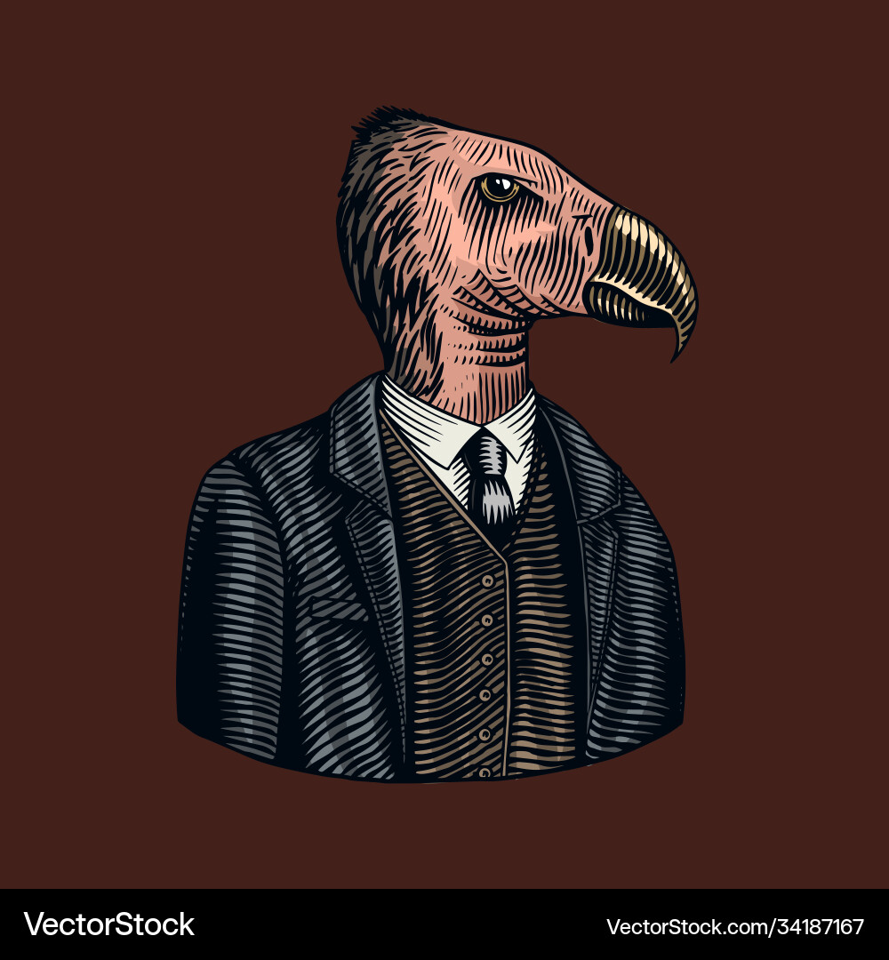 kalifornische Kondor Herrscher Amerikanische Vogel Kalifornische Kondor Herrscher Amerikanische Vogel vektorbild