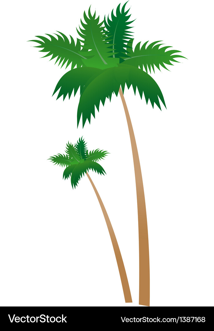 A view of tree Vector Image