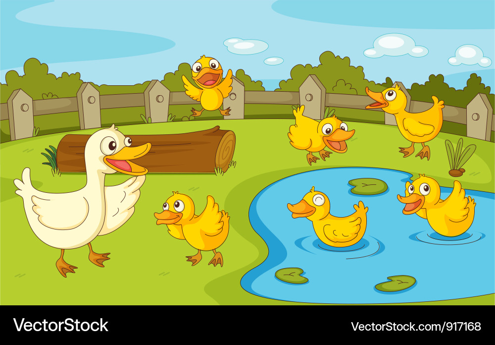 Ducks at the pond vector image