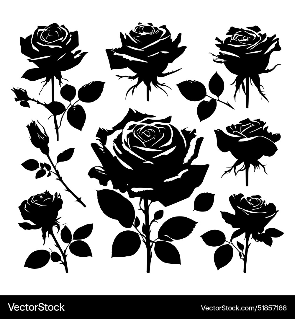 Set of roses silhouettes isolated on a white Set of roses silhouettes isolated on a white vector image