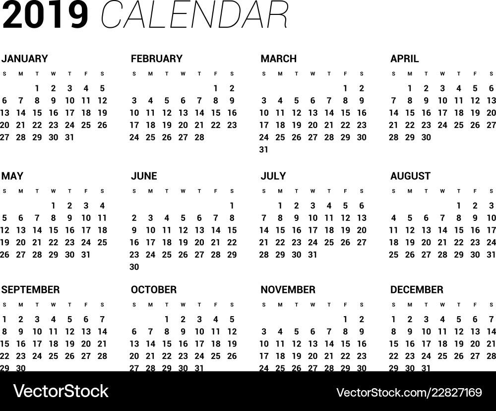 2019 year calendar in clean minimal table simple vector image