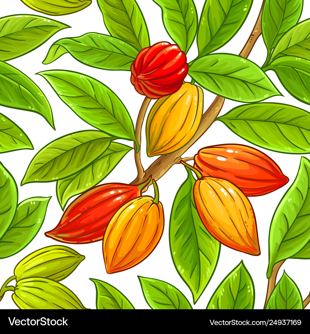 Cocoa branches pattern on white background Cocoa branches pattern on white background vector image