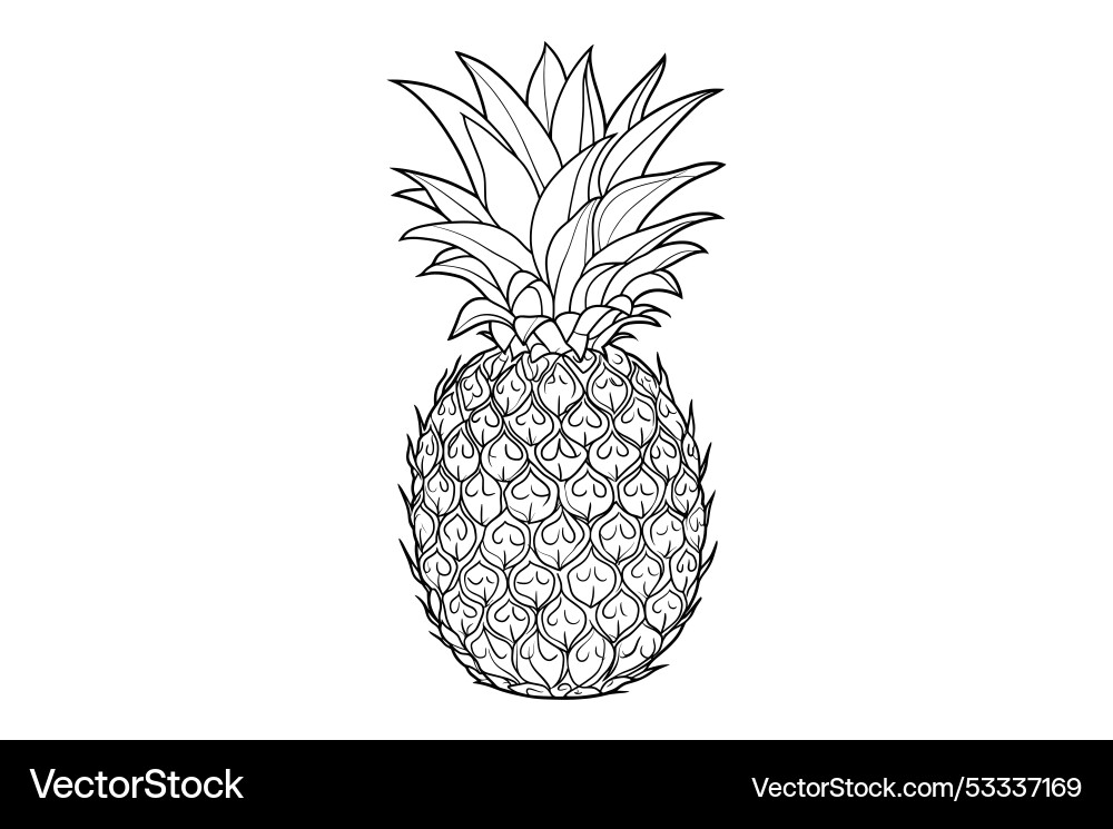 Coloring page for kids pineapple clipart Vector Image