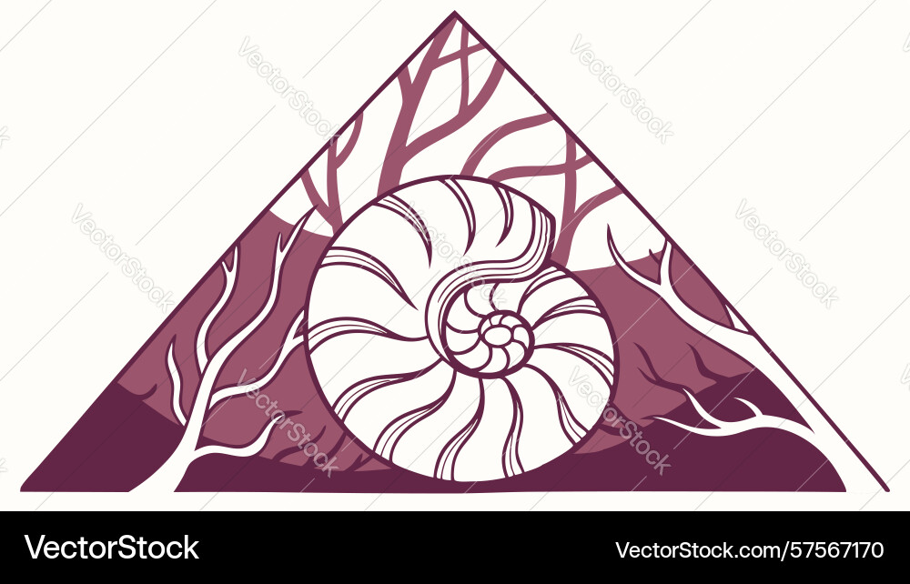 Nautilus shell in dark triangle landscape design vector image