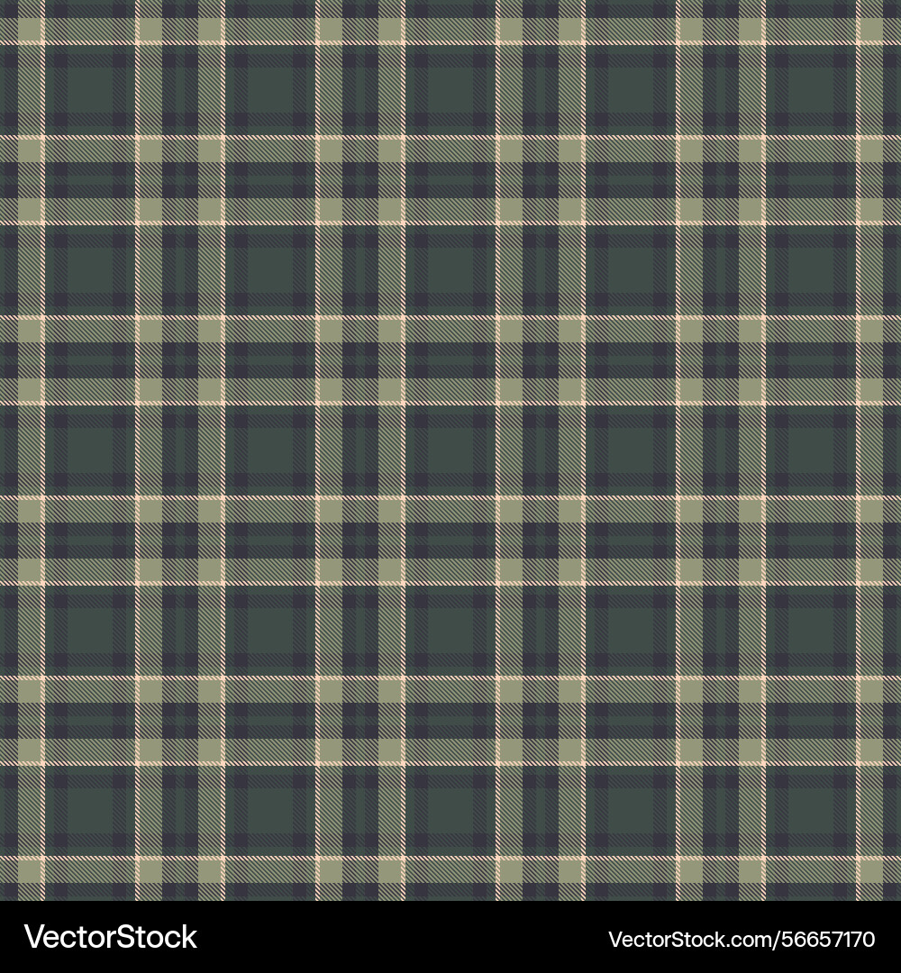 Rough plaid background texture classy pattern vector image