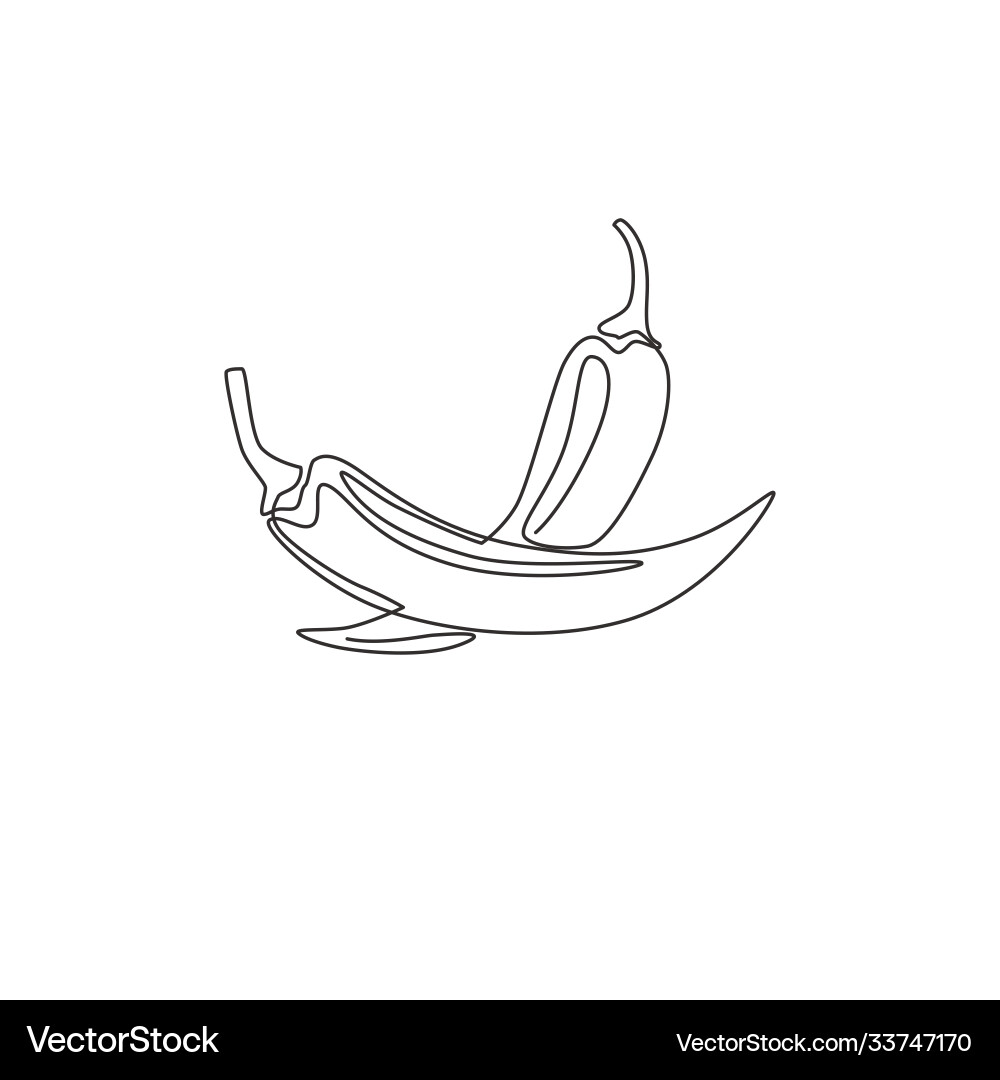 Single Line Chili Pepper Vector Image