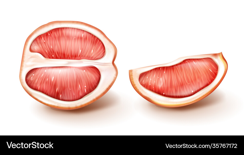 Half and slice red grapefruit Royalty Free Vector Image