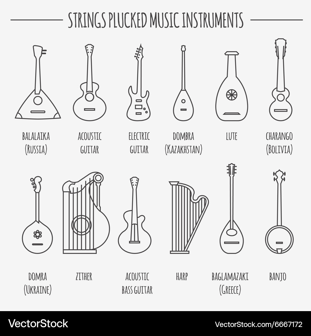 Musical instruments graphic template strings Vector Image