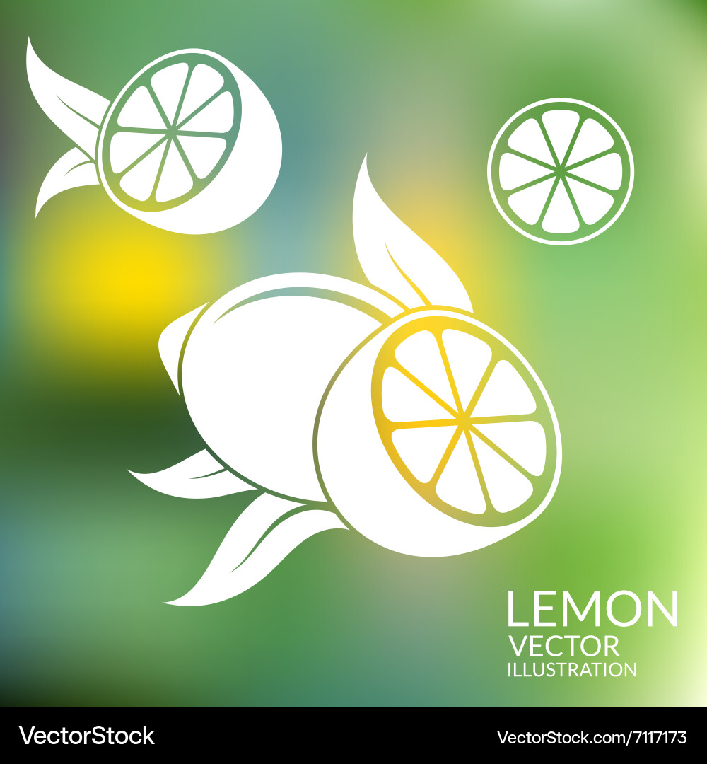 Lemon abstract fruit on blurred background Vector Image