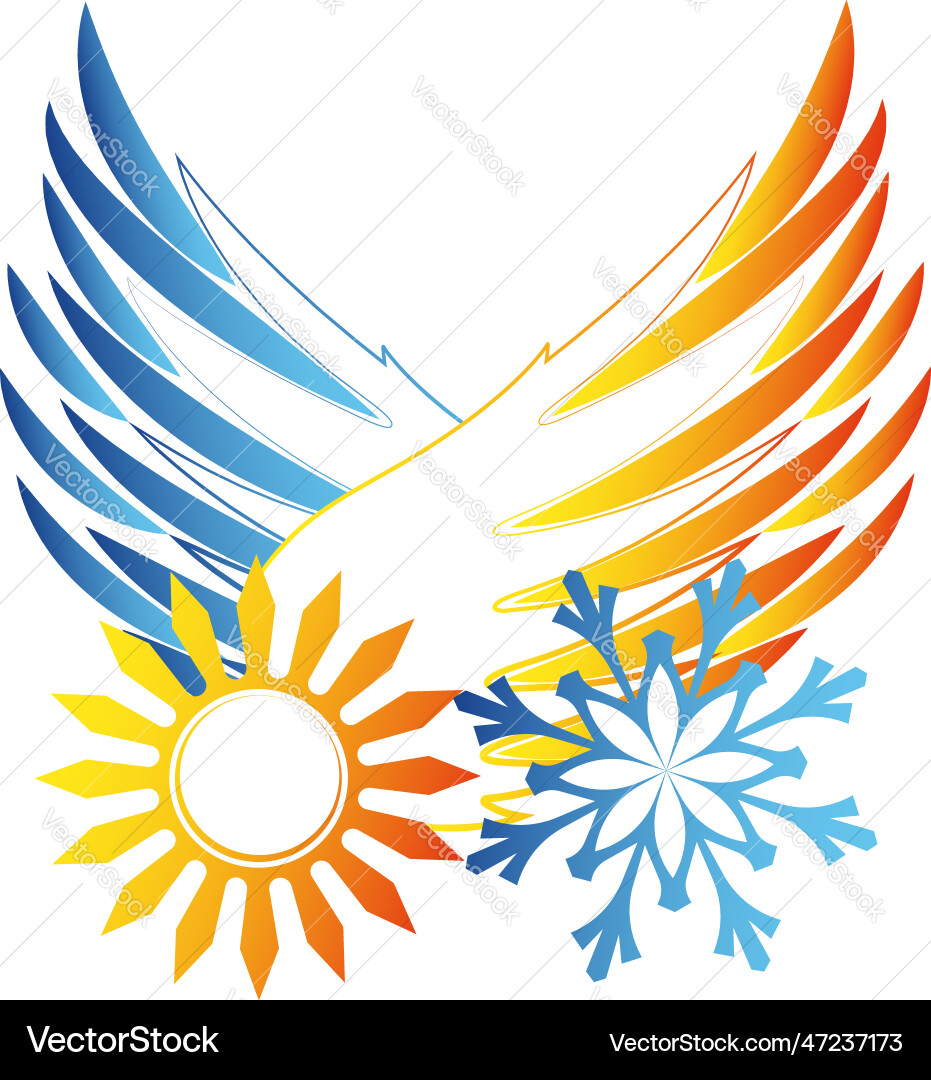 Sun and snowflake with wings unique design vector image