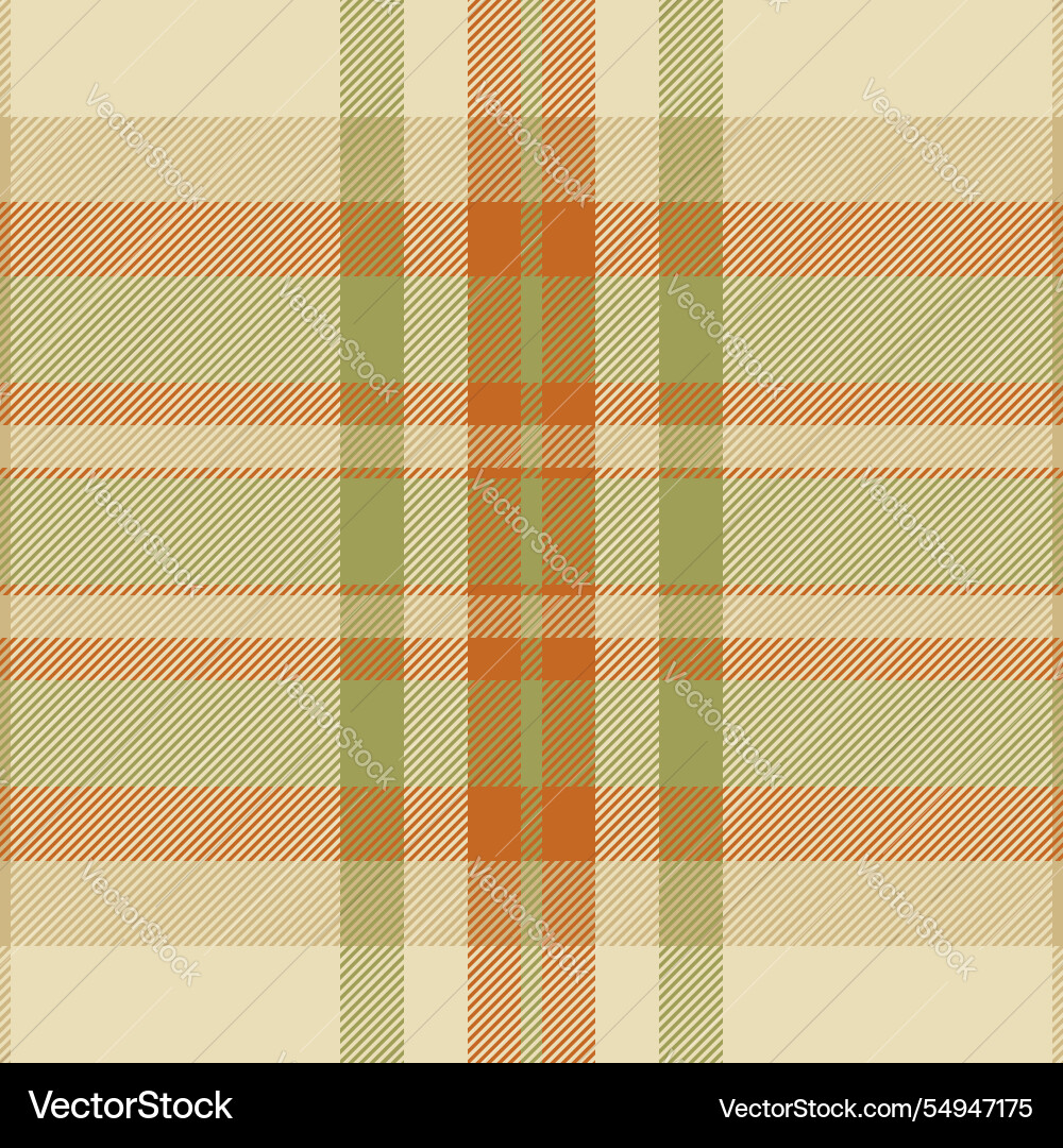 Custom background seamless fabric robe pattern vector image