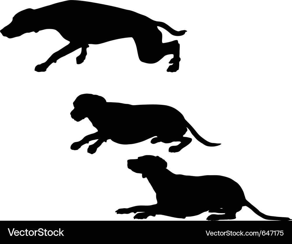 Go! Get Ready! Vector Image