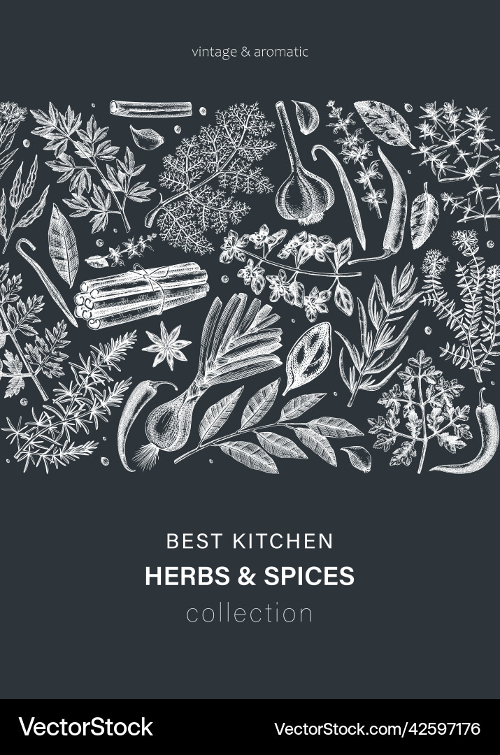 Hand-drawn herbs and spices card on chalkboard Hand-drawn herbs and spices card on chalkboard vector image