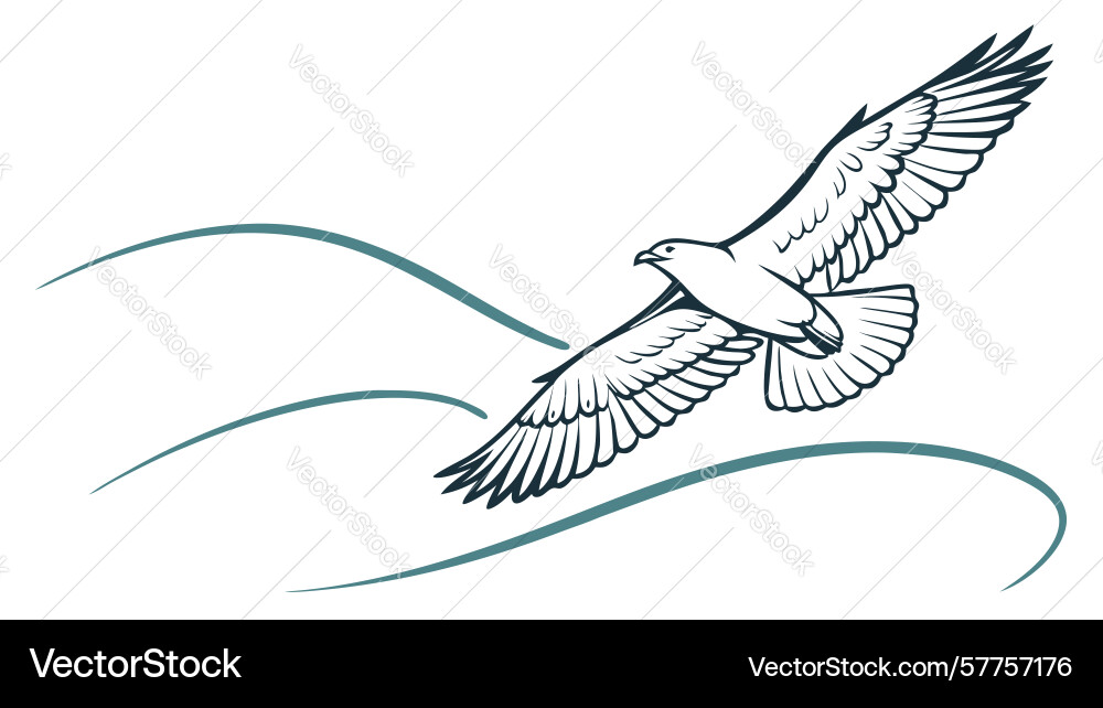 Powerful eagle in dynamic flight design Vector Image