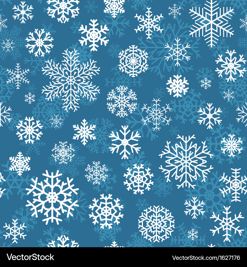 Winter Snowflake Pattern vector image
