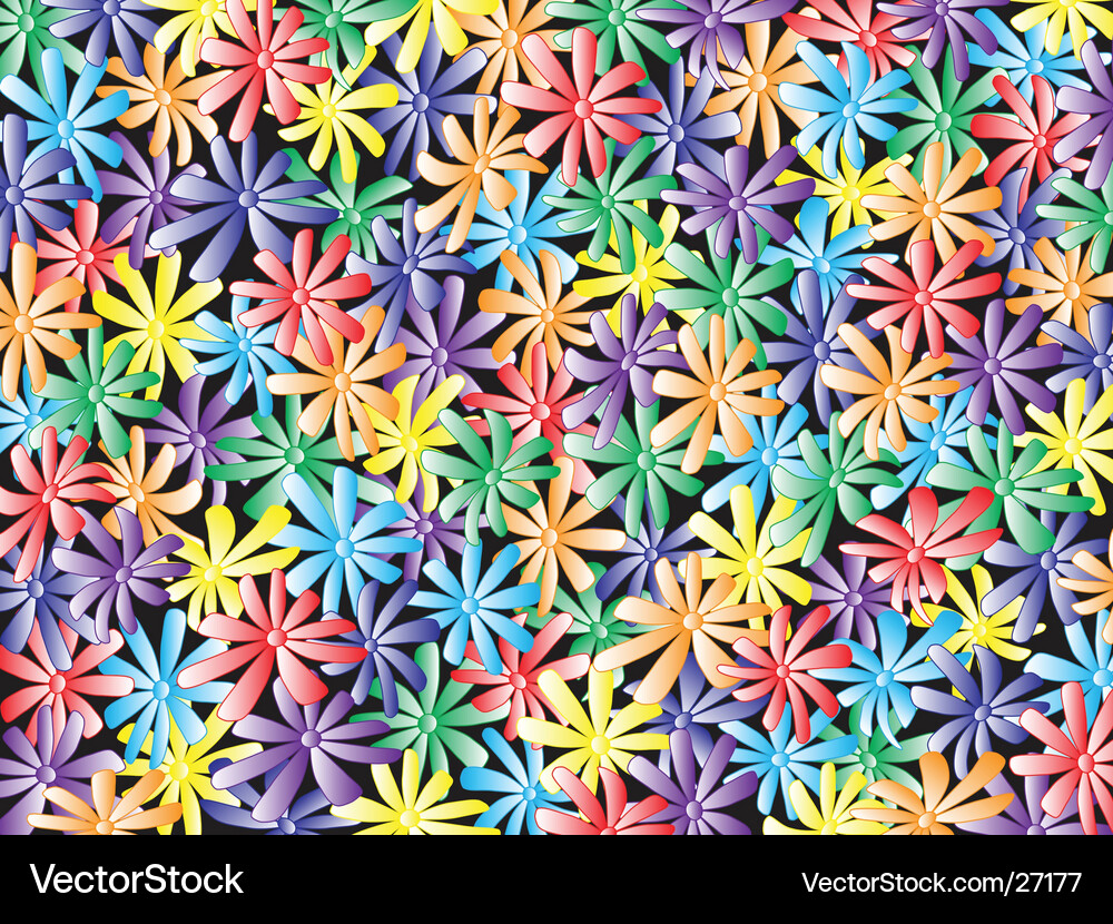 Chamomile Vector Image