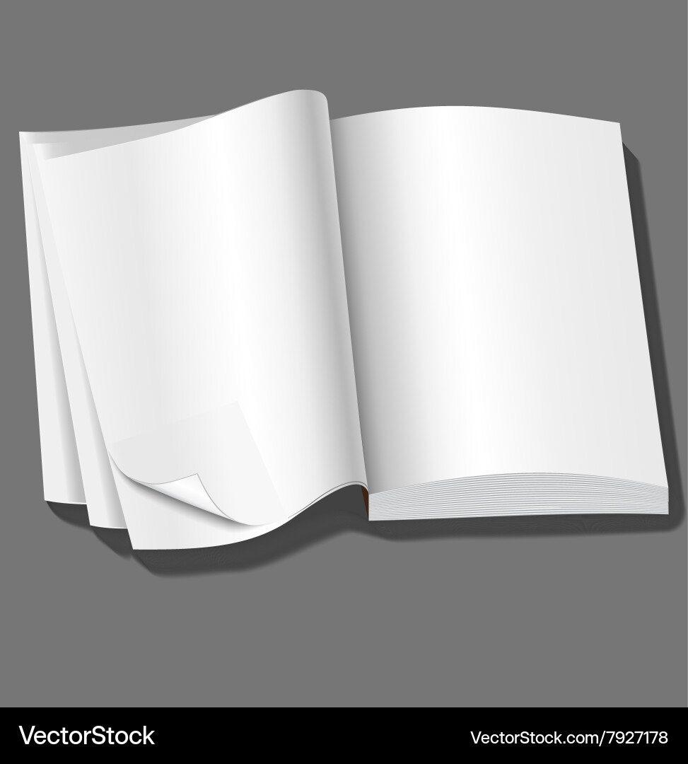 Open of book with blank white pages Vector Image