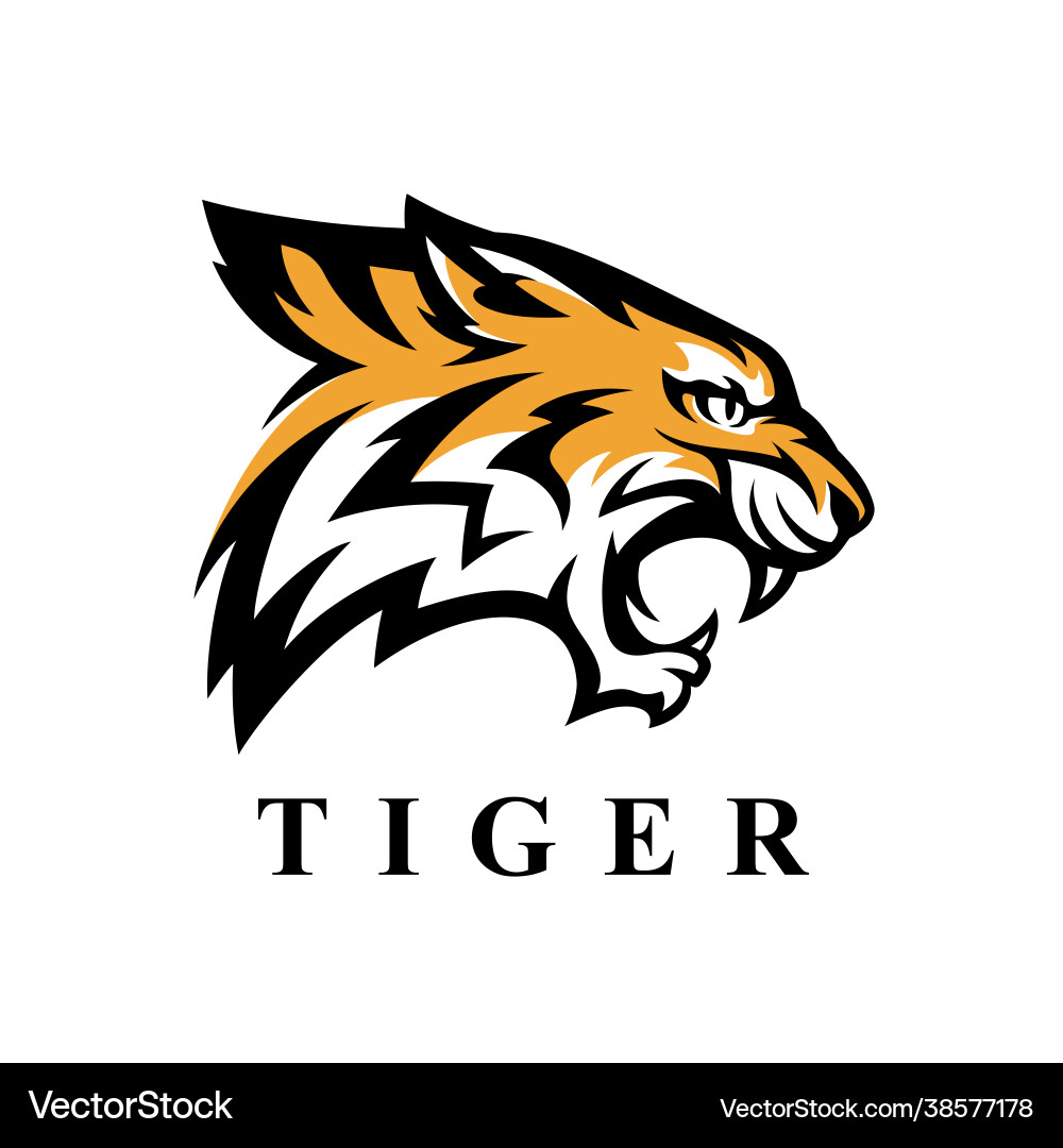 Tiger head icon vector image