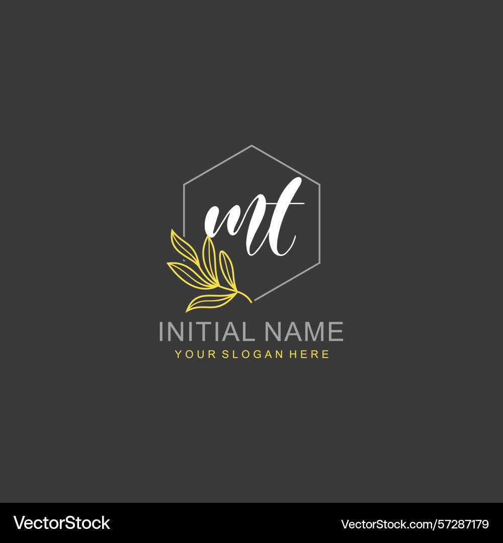 Mt initial logo templates with botanical elements Mt initial logo templates with botanical elements Vector Image