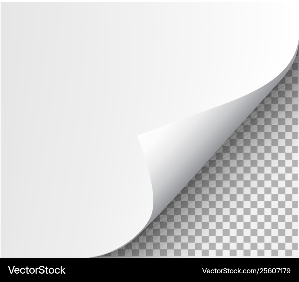 Page curl with shadow on blank sheet paper Page curl with shadow on blank sheet paper vector image
