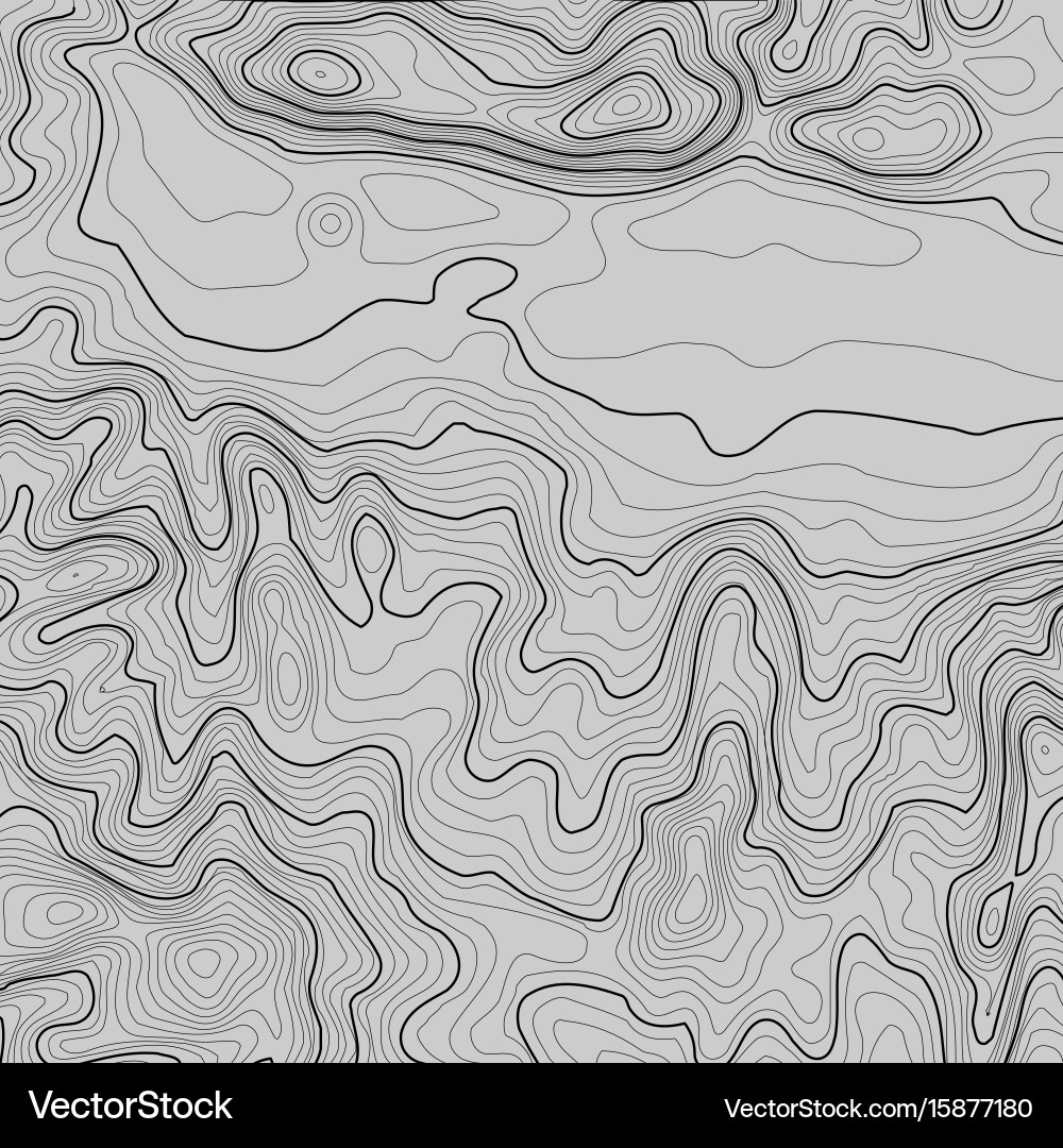 Topographic map background with space for copy vector image