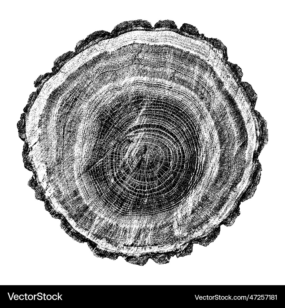 Distressed wood texture Royalty Free Vector Image