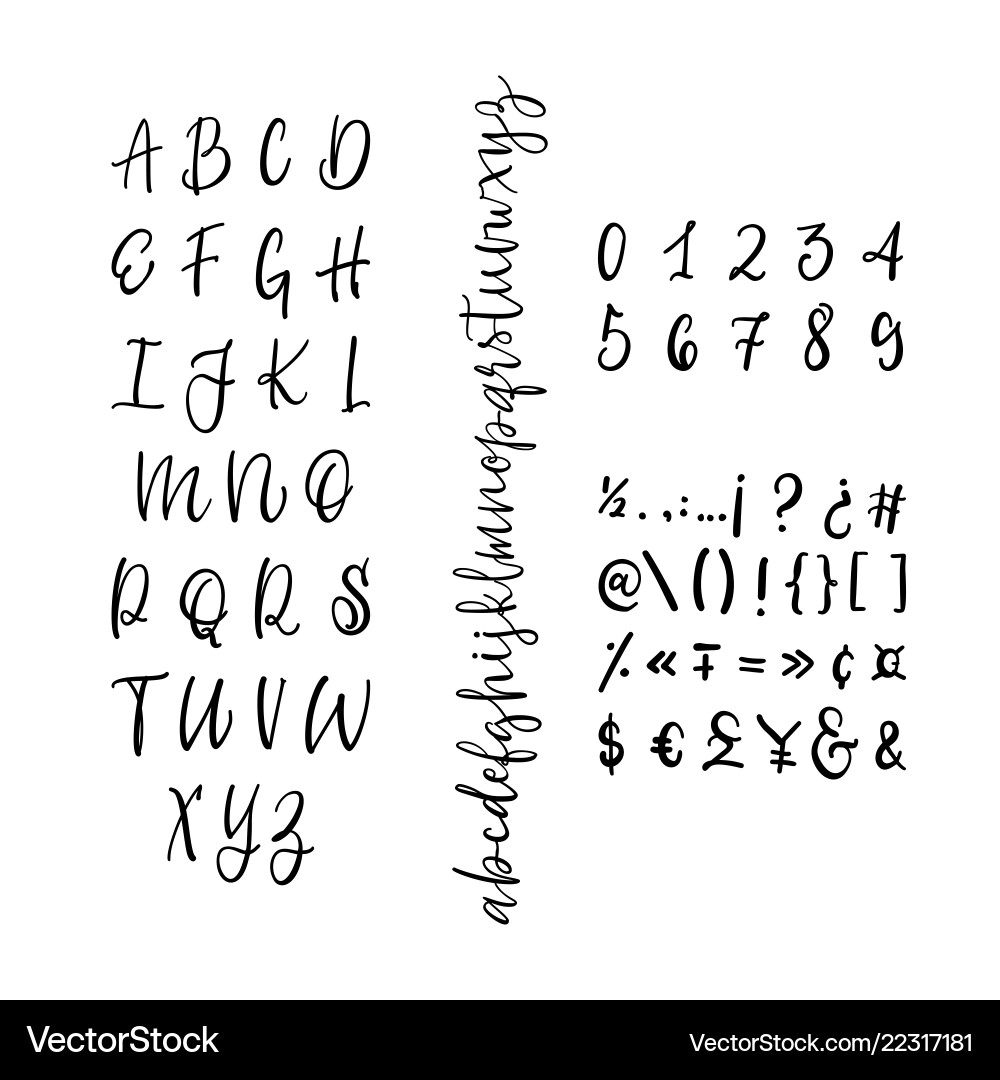 Elegant Calligraphic Script Font vector image