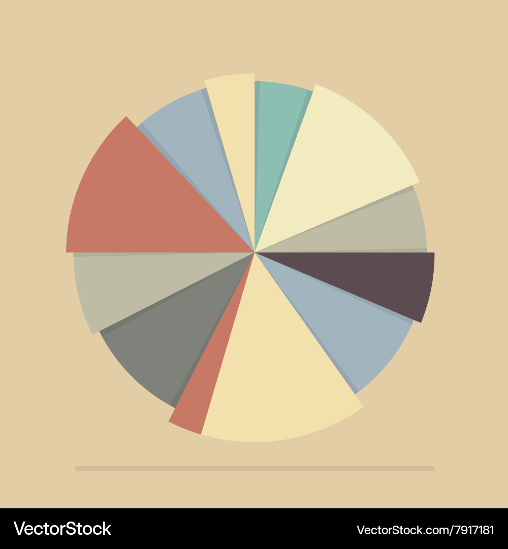 Pie Chart Data Visualization vector image