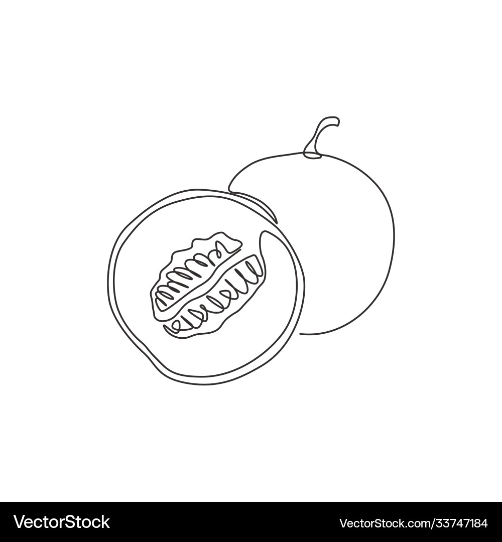 Continuous Line Melon Slice vector image