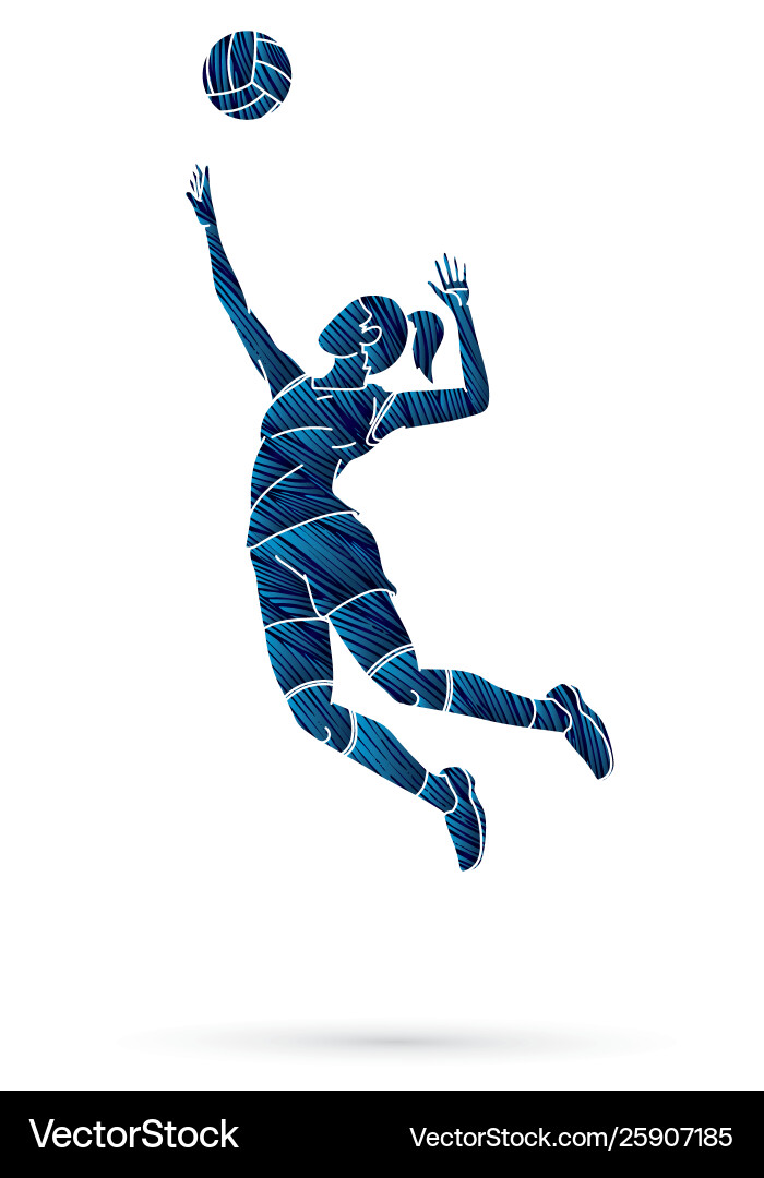 Volleyball sport action cartoon graphic Volleyball sport action cartoon graphic vector image