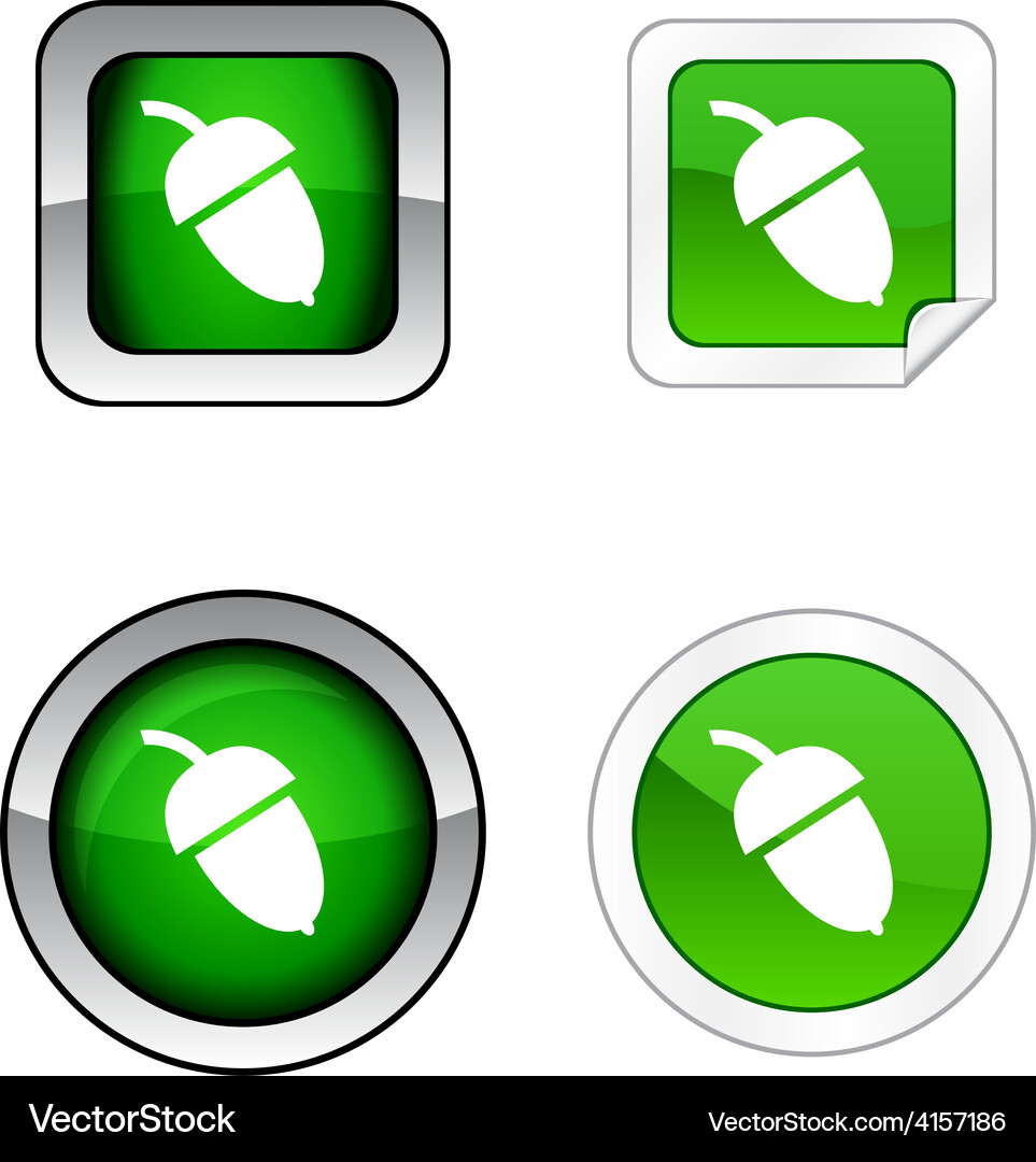 Acorn button set Vector Image