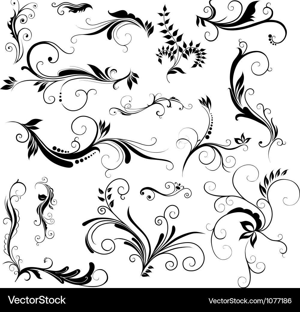 Floral Scroll Patterns vector image