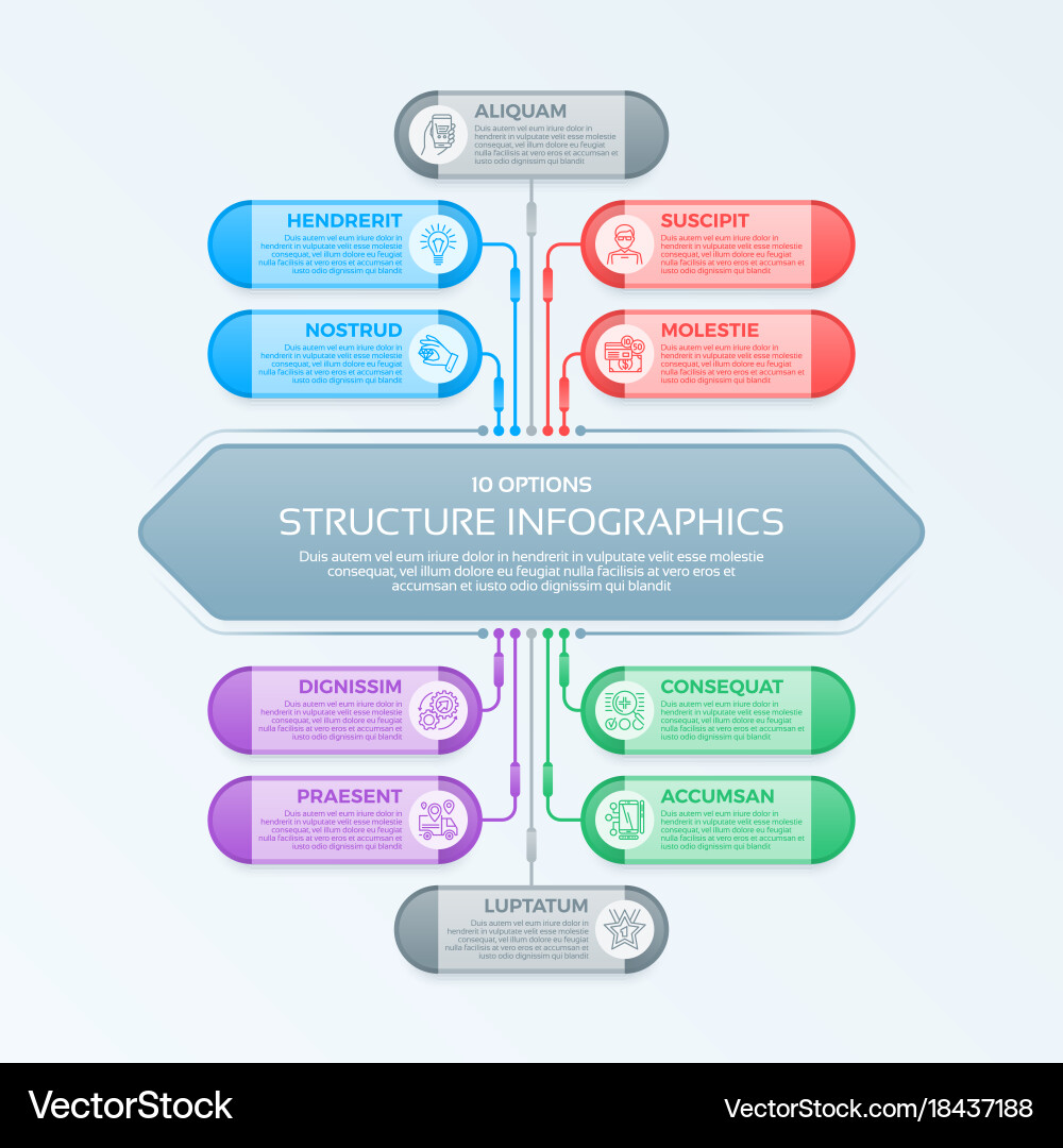 Infographics template with 10 structure elements vector image