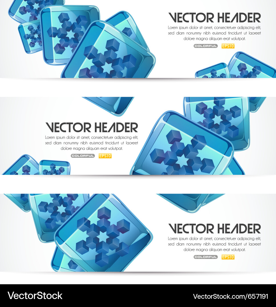 Icy Snowflake Headers Vector Image